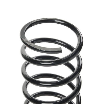 Suspension Spring RIDEX 188C0883 188C0883 - photo 4