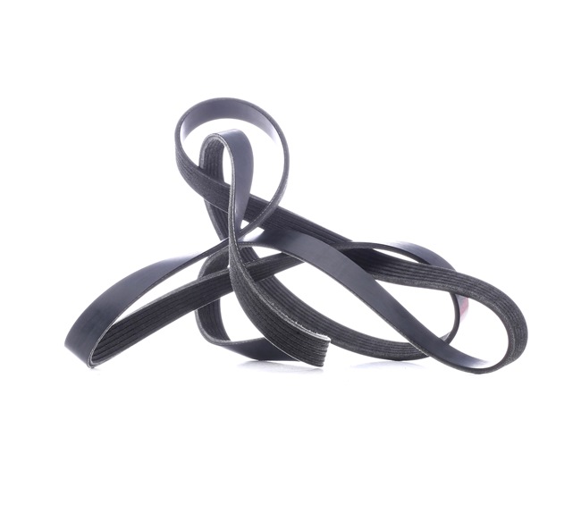 V-Ribbed Belt Stark SKPB-0090069 SKPB-0090069 - photo 1