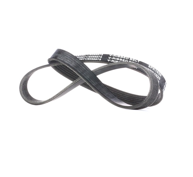 V-Belt RIDEX 305P0291 305P0291 - photo 1