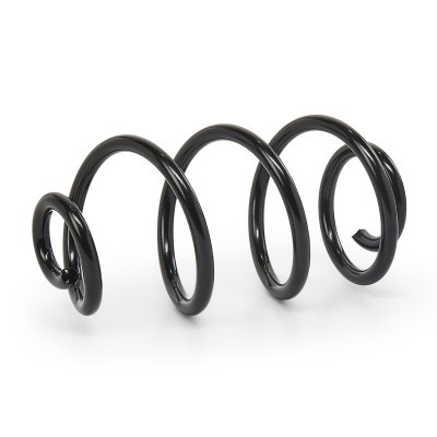 Suspension Spring RIDEX 188C0145 188C0145 - photo 4