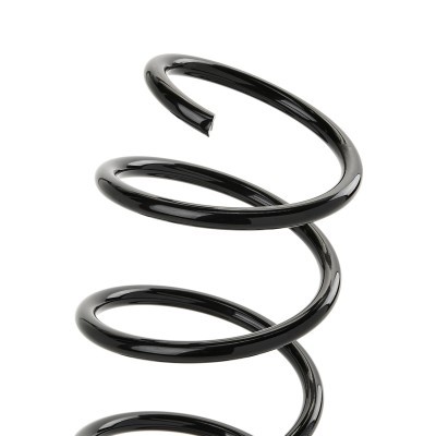 Suspension Spring RIDEX 188C1610 188C1610 - photo 3