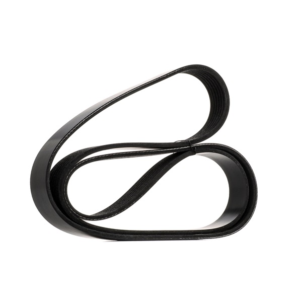 V-Ribbed Belt Stark SKPB-0090161 SKPB-0090161 - photo 1