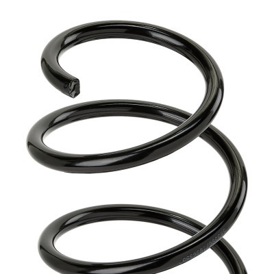 Suspension Spring RIDEX 188C1955 188C1955 - photo 3