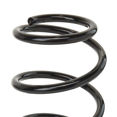 Suspension Spring RIDEX 188C0201 188C0201 - photo 3