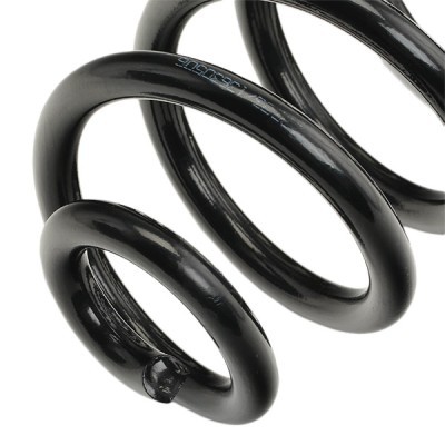 Suspension Spring RIDEX 188C0277 188C0277 - photo 4