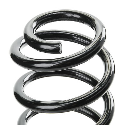 Suspension Spring RIDEX 188C0648 188C0648 - photo 4