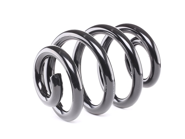 Suspension Spring RIDEX 188C0281 188C0281 - photo 1