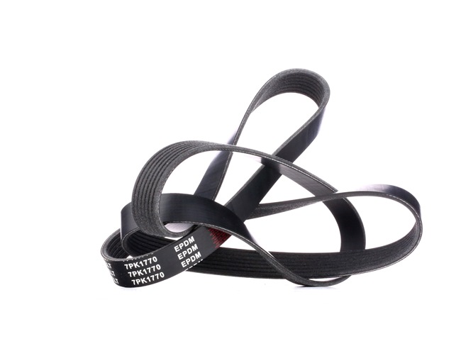 V-Ribbed Belt Stark SKPB-0090109 SKPB-0090109 - photo 1