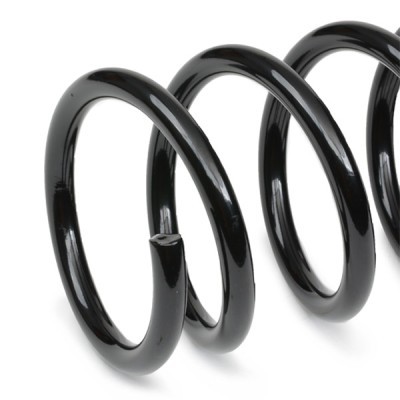 Suspension Spring RIDEX 188C0896 188C0896 - photo 4
