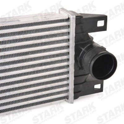 Intercooler, Charger Stark SKICC-0890394 SKICC-0890394 - photo 6