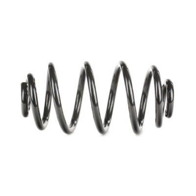 Suspension Spring RIDEX 188C0286 188C0286 - photo 3