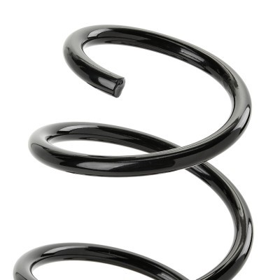 Suspension Spring RIDEX 188C1598 188C1598 - photo 3