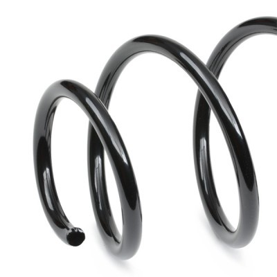 Suspension Spring RIDEX 188C1384 188C1384 - photo 4