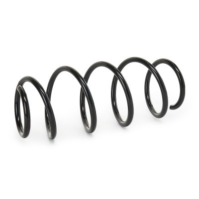 Suspension Spring RIDEX 188C0293 188C0293 - photo 4