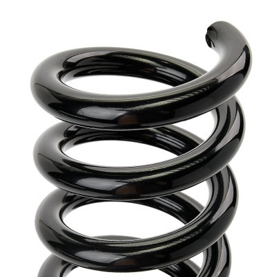 Suspension Spring RIDEX 188C0796 188C0796 - photo 4