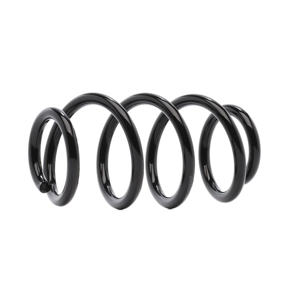 Suspension Spring RIDEX 188C1289 188C1289 - photo 1