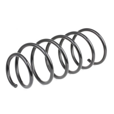 Suspension Spring RIDEX 188C0169 188C0169 - photo 3