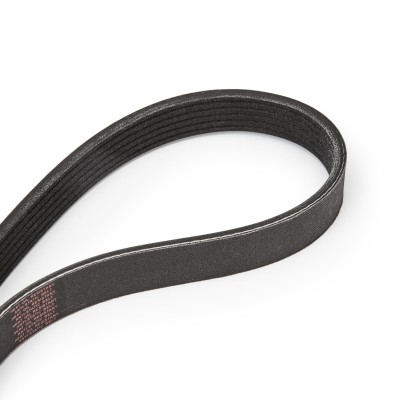 Drive Belt Kit RIDEX 542R0052P 542R0052P - photo 14