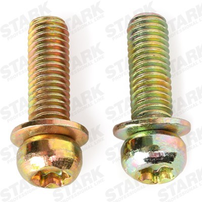 Control Valve, camshaft adjustment Stark SKICV-0740006 SKICV-0740006 - photo 6