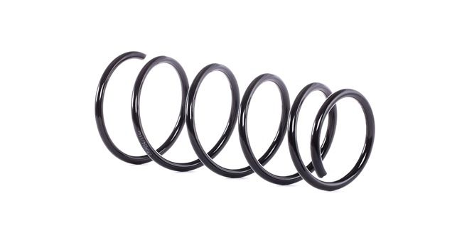 Suspension Spring RIDEX 188C0423 188C0423 - photo 1