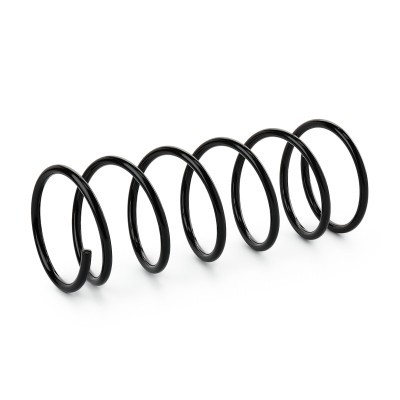 Suspension Spring RIDEX 188C0474 188C0474 - photo 3