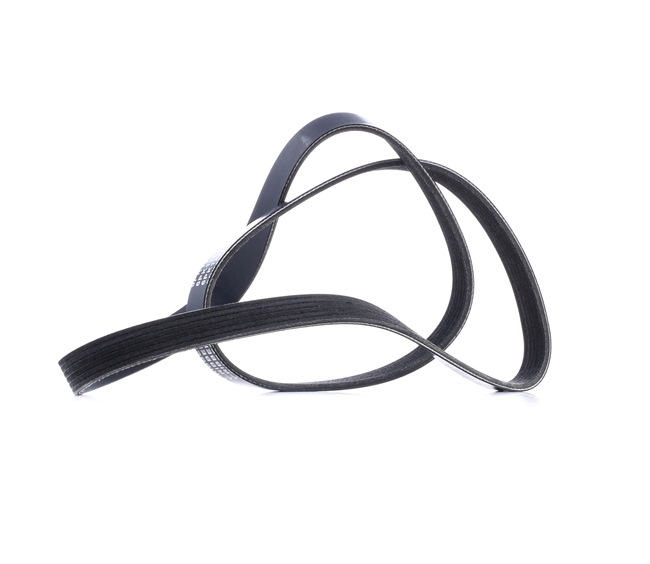 V-Ribbed Belt Stark SKPB-0090018 SKPB-0090018 - photo 1