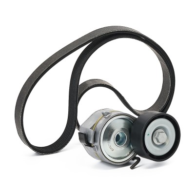 Drive Belt Kit RIDEX 542R0085P 542R0085P - photo 9