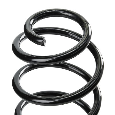 Suspension Spring RIDEX 188C0776 188C0776 - photo 4