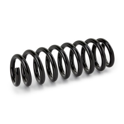 Suspension Spring RIDEX 188C0941 188C0941 - photo 2