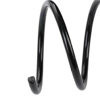 Suspension Spring RIDEX 188C0440 188C0440 - photo 4