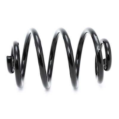 Suspension Spring RIDEX 188C0025 188C0025 - photo 4