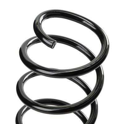 Suspension Spring RIDEX 188C1132 188C1132 - photo 4