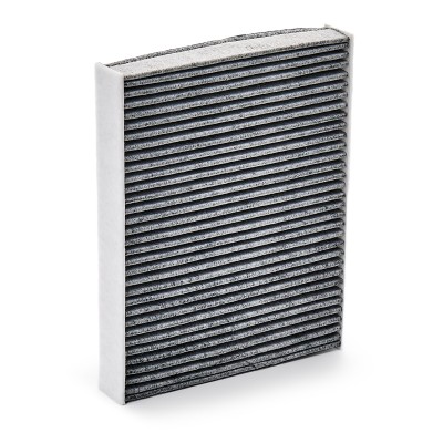 Cabin Air Filter RIDEX 424I0060 424I0060 - photo 11
