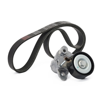 Drive Belt Kit RIDEX 542R0463P 542R0463P - photo 9