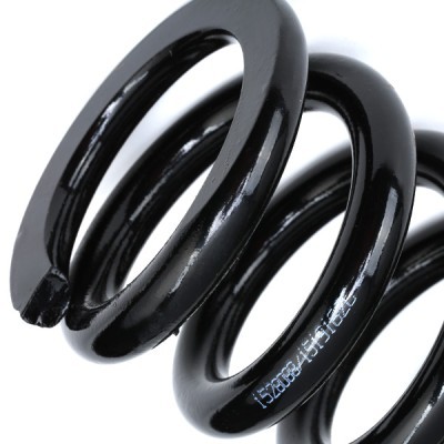 Suspension Spring RIDEX 188C0803 188C0803 - photo 4