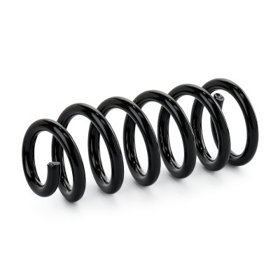 Suspension Spring RIDEX 188C1321 188C1321 - photo 3