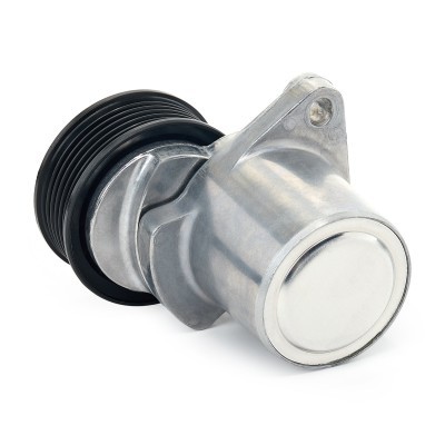 Belt Tensioner V-Ribbed Belt RIDEX 310T0011 310T0011 - photo 5