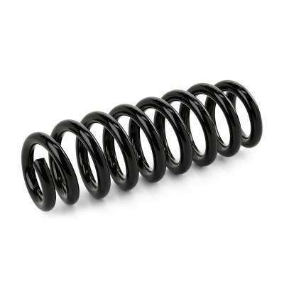 Suspension Spring RIDEX 188C1525 188C1525 - photo 2