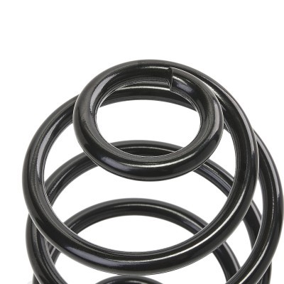 Suspension Spring RIDEX 188C0046 188C0046 - photo 4