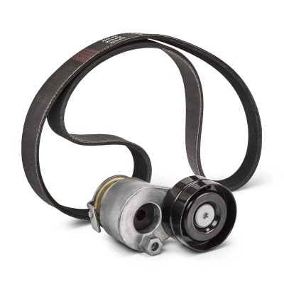 Drive Belt Kit RIDEX 542R0421P 542R0421P - photo 9