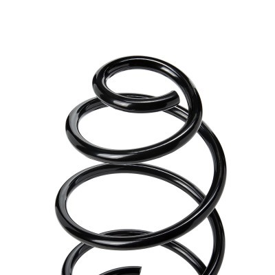 Suspension Spring RIDEX 188C0627 188C0627 - photo 3