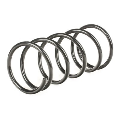 Suspension Spring RIDEX 188C0077 188C0077 - photo 3