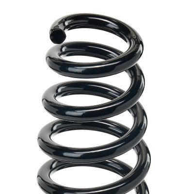 Suspension Spring RIDEX 188C0863 188C0863 - photo 3