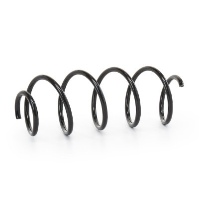 Suspension Spring RIDEX 188C0258 188C0258 - photo 2