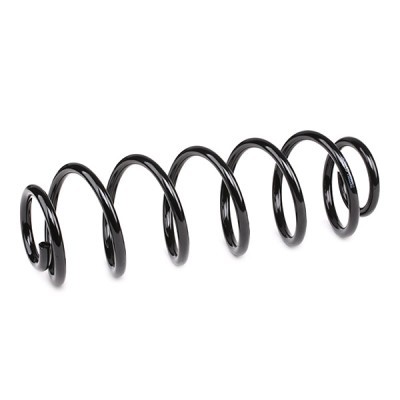Suspension Spring RIDEX 188C1354 188C1354 - photo 3
