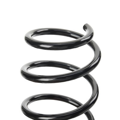 Suspension Spring RIDEX 188C0800 188C0800 - photo 3