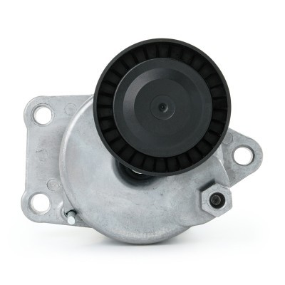 Belt Tensioner V-Ribbed Belt RIDEX 310T0297 310T0297 - photo 5