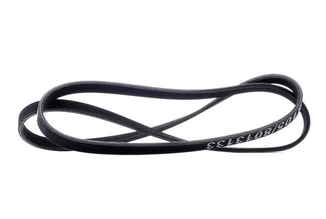 V-Ribbed Belt Stark SKPB-0090082 SKPB-0090082 - photo 1