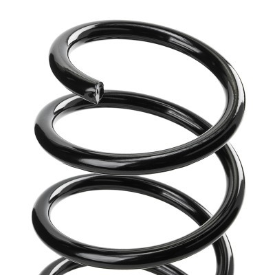 Suspension Spring RIDEX 188C0876 188C0876 - photo 4