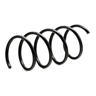Suspension Spring RIDEX 188C0063 188C0063 - photo 4